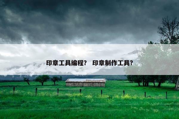 印章工具编程？ 印章制作工具？