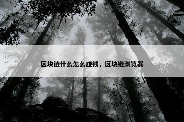 区块链什么怎么赚钱，区块链浏览器