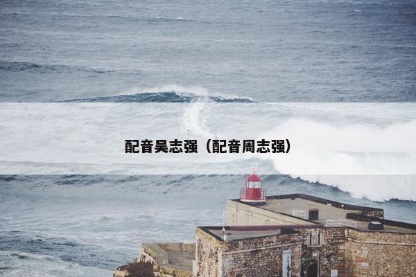 配音吴志强（配音周志强）