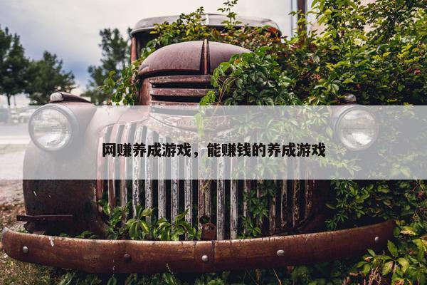 网赚养成游戏，能赚钱的养成游戏