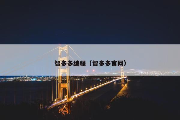 智多多编程（智多多官网）