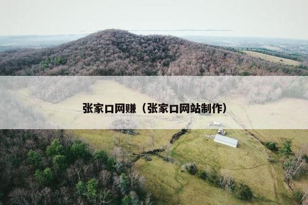 张家口网赚（张家口网站制作）