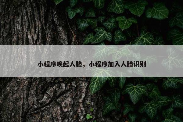 小程序唤起人脸，小程序加入人脸识别