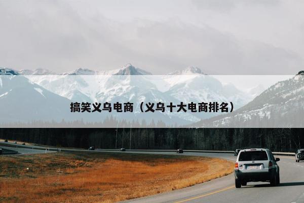 搞笑义乌电商（义乌十大电商排名）