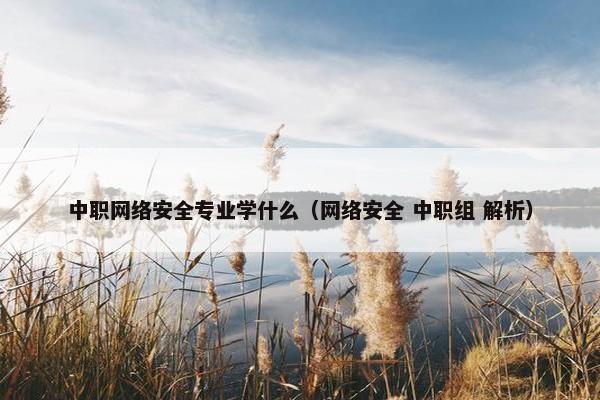 中职网络安全专业学什么（网络安全 中职组 解析）