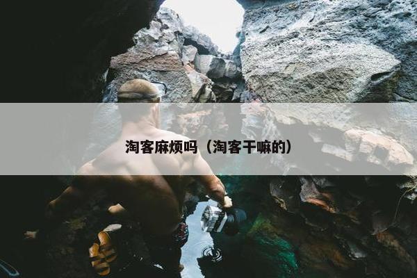 淘客麻烦吗（淘客干嘛的）