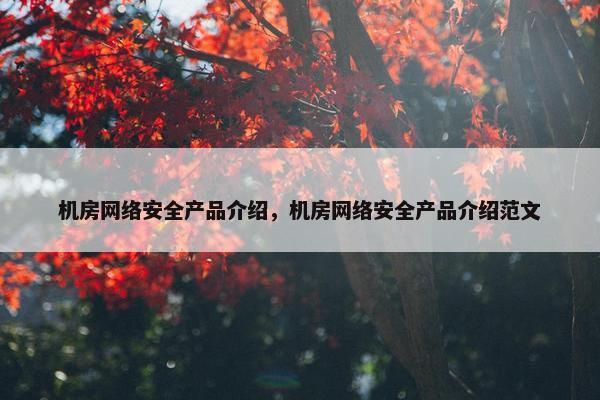机房网络安全产品介绍，机房网络安全产品介绍范文