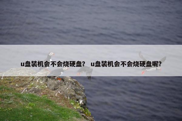 u盘装机会不会烧硬盘？ u盘装机会不会烧硬盘呢？