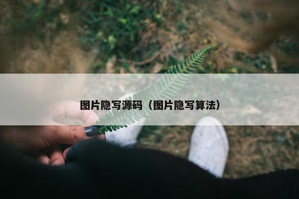 图片隐写源码（图片隐写算法）