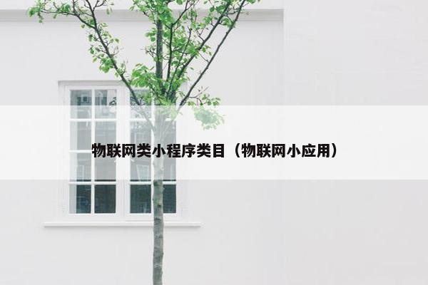 物联网类小程序类目（物联网小应用）