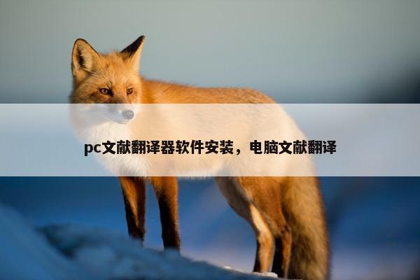pc文献翻译器软件安装，电脑文献翻译