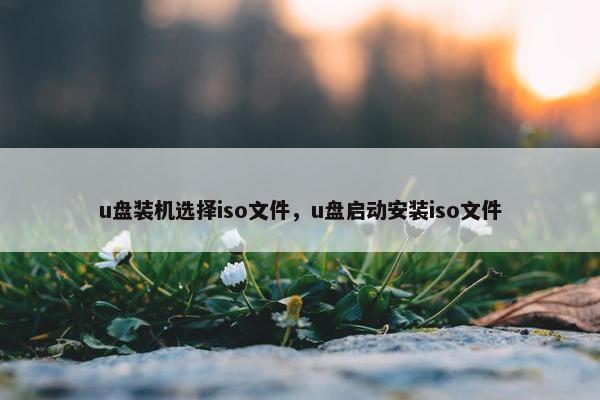 u盘装机选择iso文件，u盘启动安装iso文件