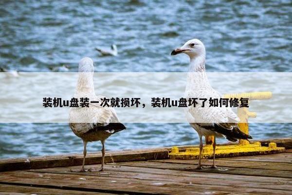 装机u盘装一次就损坏，装机u盘坏了如何修复
