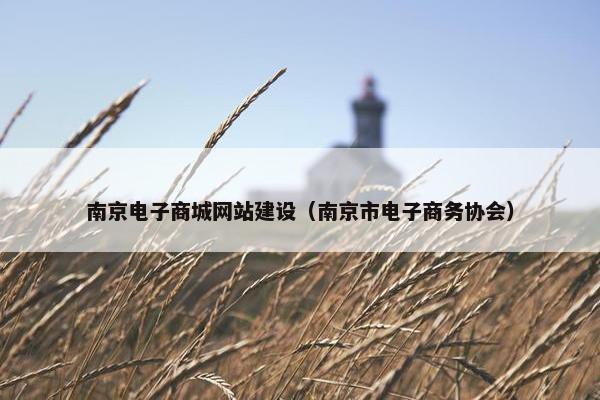 南京电子商城网站建设（南京市电子商务协会）