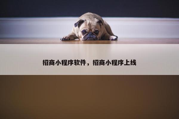 招商小程序软件，招商小程序上线