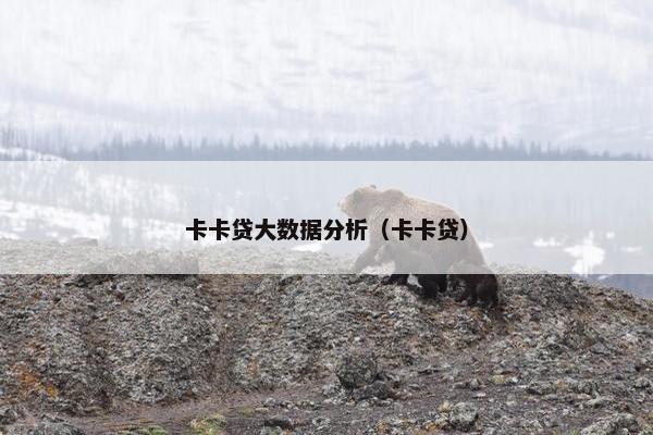 卡卡贷大数据分析（卡卡贷）