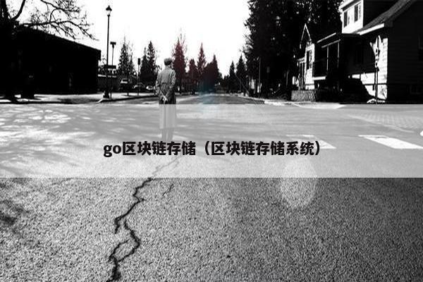 go区块链存储（区块链存储系统）