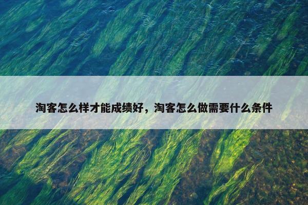 淘客怎么样才能成绩好，淘客怎么做需要什么条件
