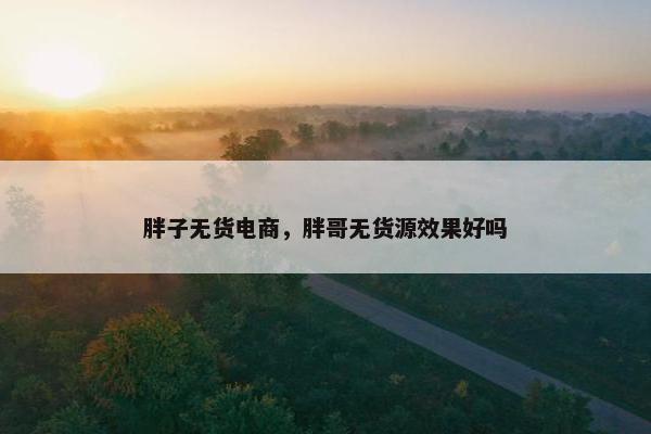 胖子无货电商，胖哥无货源效果好吗