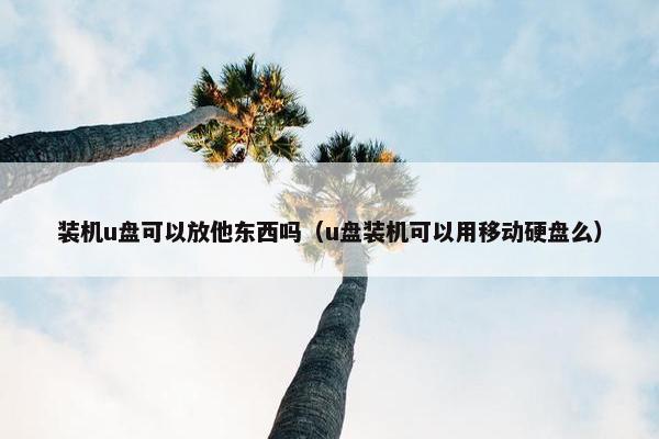 装机u盘可以放他东西吗（u盘装机可以用移动硬盘么）