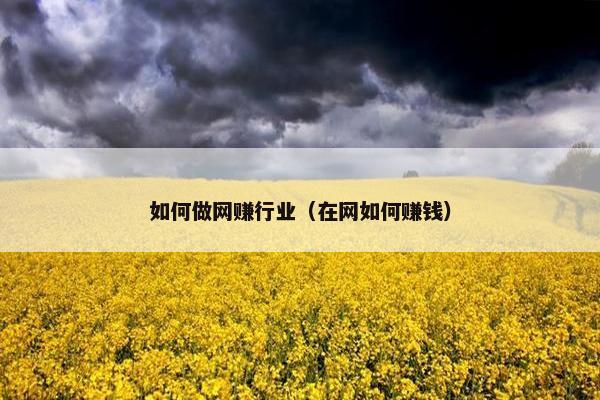 如何做网赚行业（在网如何赚钱）