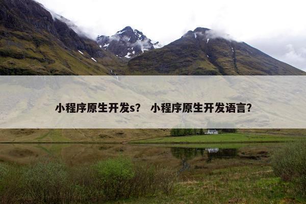 小程序原生开发s？ 小程序原生开发语言？