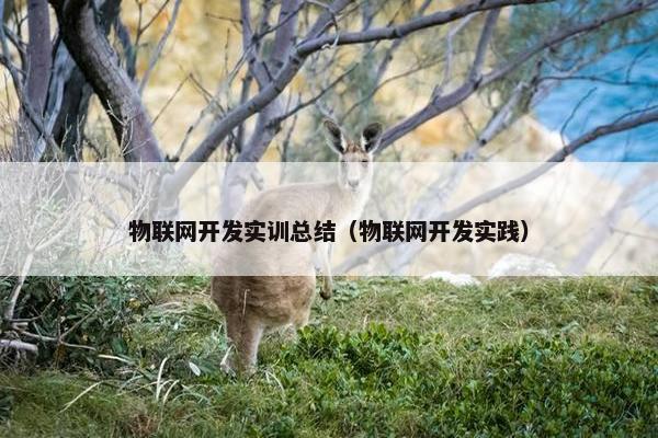 物联网开发实训总结（物联网开发实践）