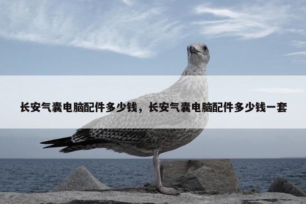 长安气囊电脑配件多少钱，长安气囊电脑配件多少钱一套