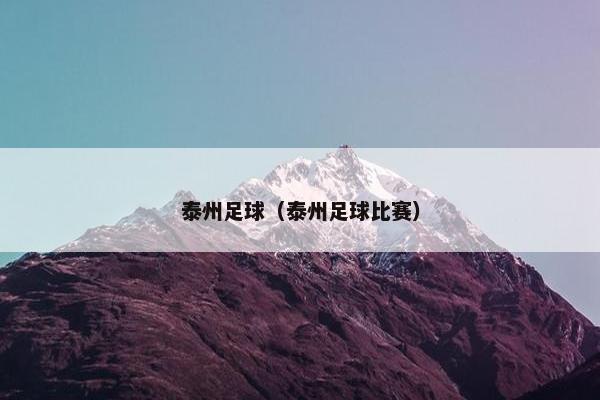 泰州足球（泰州足球比赛）