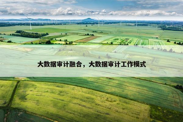 大数据审计融合，大数据审计工作模式