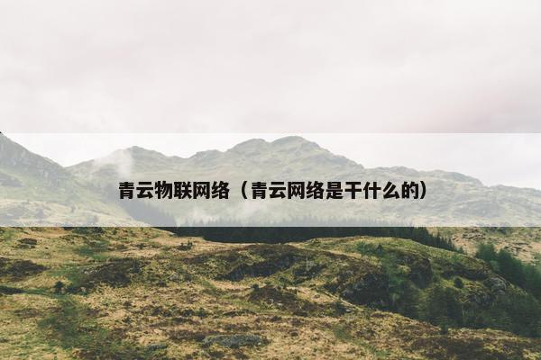 青云物联网络（青云网络是干什么的）