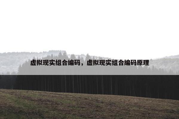 虚拟现实组合编码，虚拟现实组合编码原理