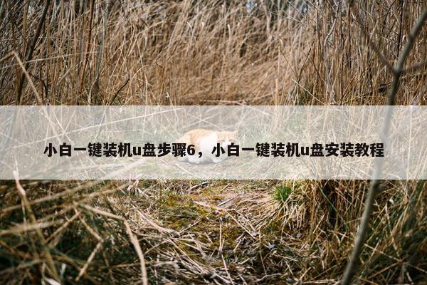 小白一键装机u盘步骤6，小白一键装机u盘安装教程