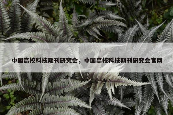 中国高校科技期刊研究会，中国高校科技期刊研究会官网