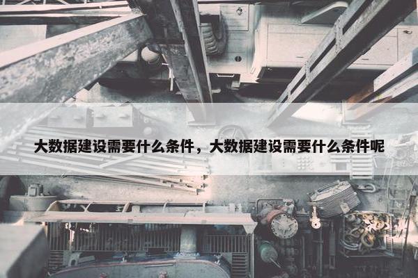 大数据建设需要什么条件，大数据建设需要什么条件呢