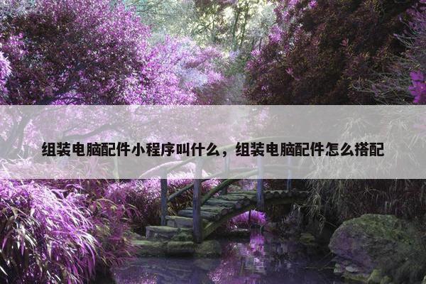 组装电脑配件小程序叫什么，组装电脑配件怎么搭配