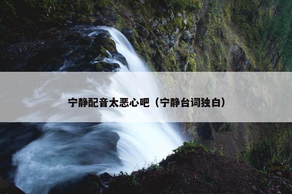宁静配音太恶心吧（宁静台词独白）