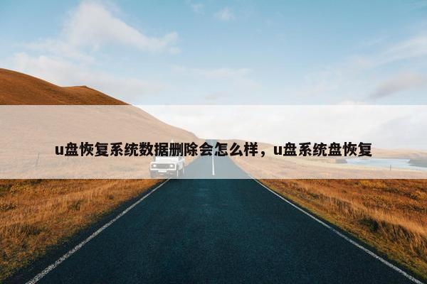 u盘恢复系统数据删除会怎么样，u盘系统盘恢复