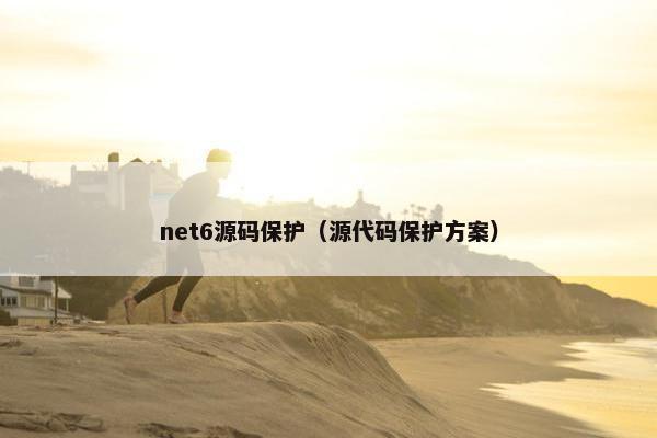 net6源码保护（源代码保护方案）
