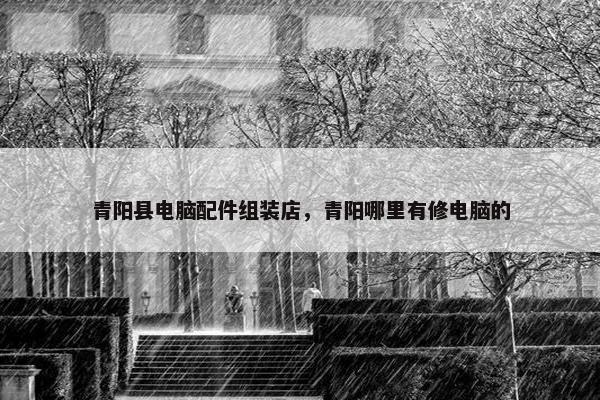 青阳县电脑配件组装店，青阳哪里有修电脑的