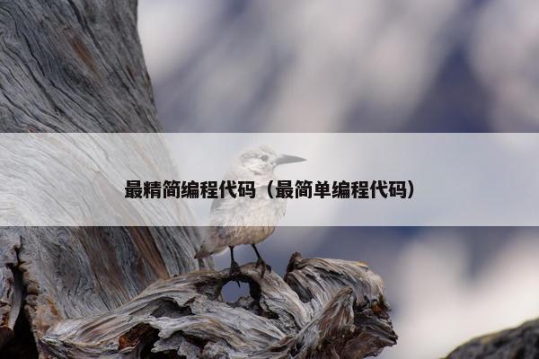 最精简编程代码（最简单编程代码）