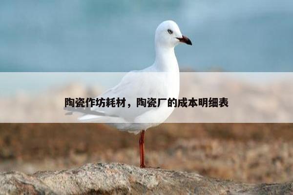 陶瓷作坊耗材，陶瓷厂的成本明细表