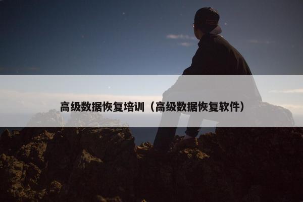 高级数据恢复培训（高级数据恢复软件）