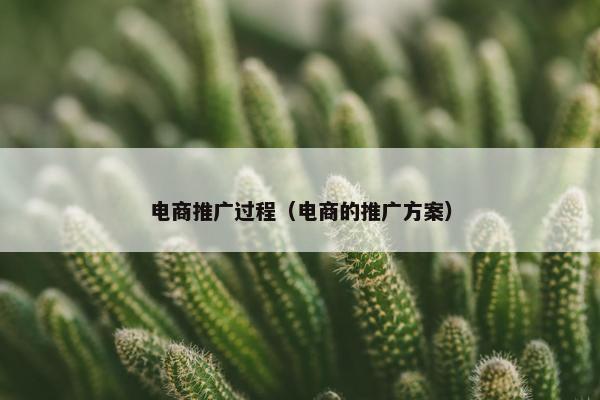 电商推广过程（电商的推广方案）