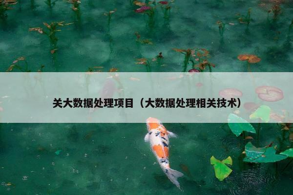 关大数据处理项目（大数据处理相关技术）