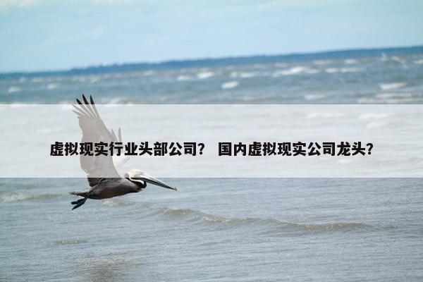 虚拟现实行业头部公司？ 国内虚拟现实公司龙头？