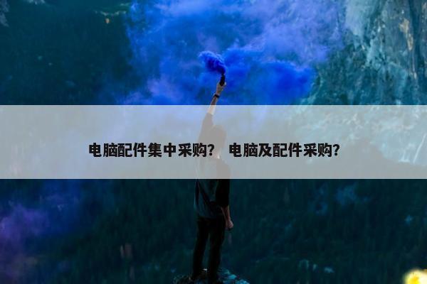 电脑配件集中采购？ 电脑及配件采购？