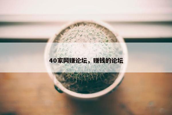 40家网赚论坛，赚钱的论坛