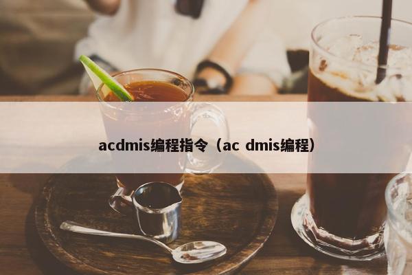 acdmis编程指令（ac dmis编程）