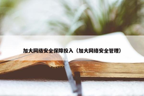 加大网络安全保障投入（加大网络安全管理）
